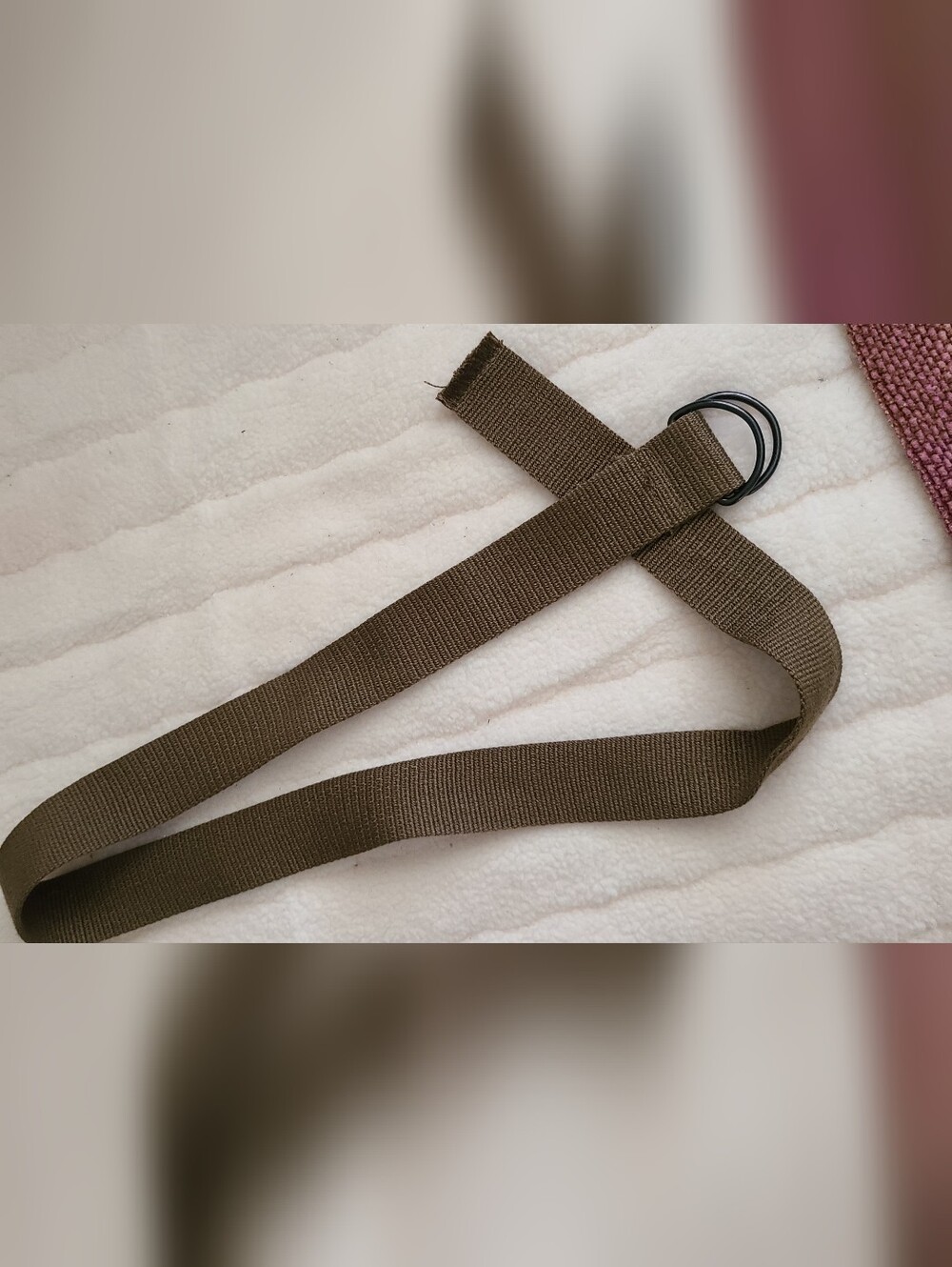 Men's (Unisex) D-Ring Webbing Belt in Brown